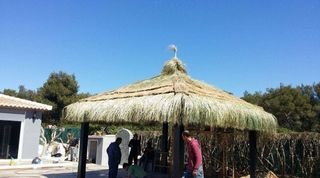 Sombrillas de brezo mimbre para pi