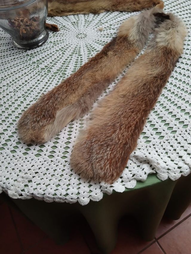 GOLA DE COURO NATURAL ANTIGA, DUAS PEÇAS FORRADAS