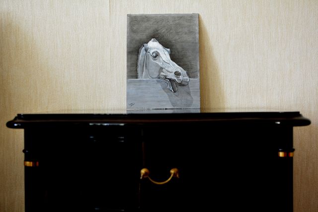 Cavallo sullo steccato, Carboncino e Gesso