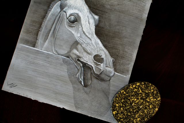 Cavallo sullo steccato, Carboncino e Gesso