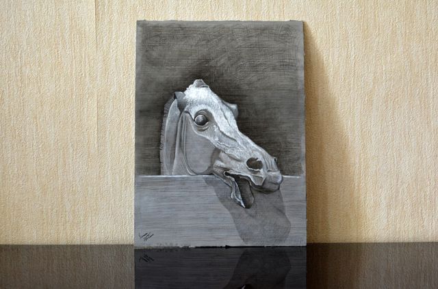 Cavallo sullo steccato, Carboncino e Gesso
