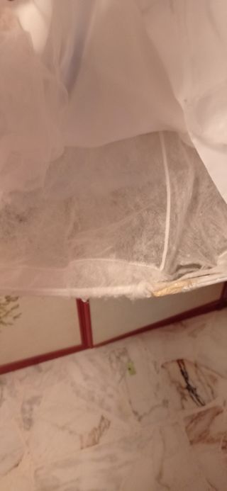 Abito carnevale bambina Brasiliana