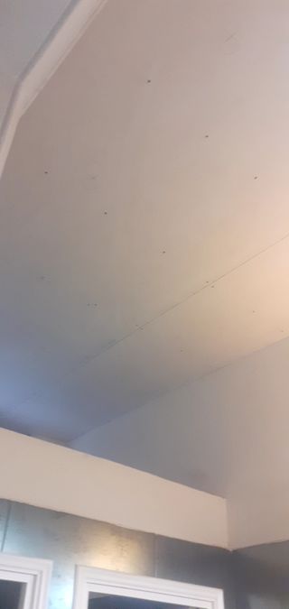 Pladurista y reformas