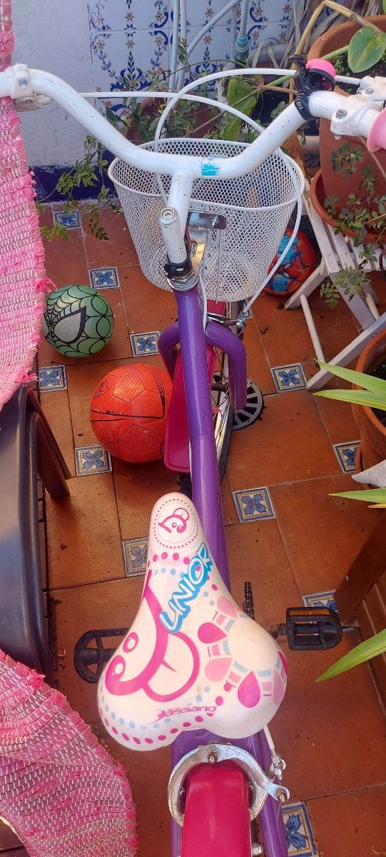 Bicicleta niña
