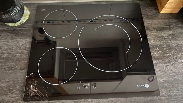 PLACA INDUCCION FAGOR ISM351R