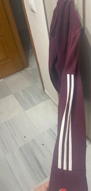 sudafera Adidas con capucha