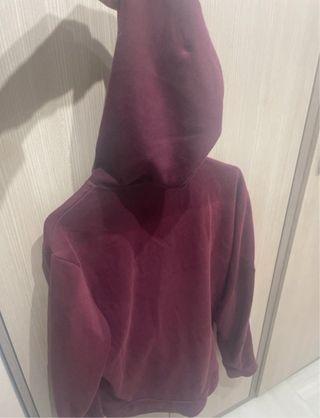 sudafera Adidas con capucha