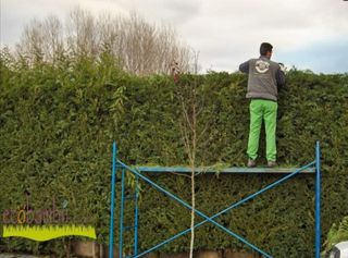 jardineros economícos 