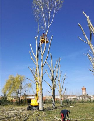 jardineros economícos 