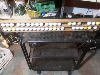 Pelotas golf con expositor