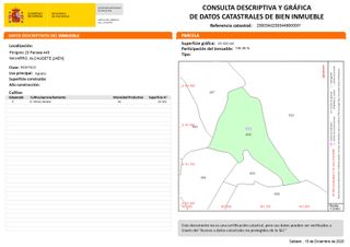 FINCA RÚSTICA DE OLIVAR ALCAUDETE (JAÉN)