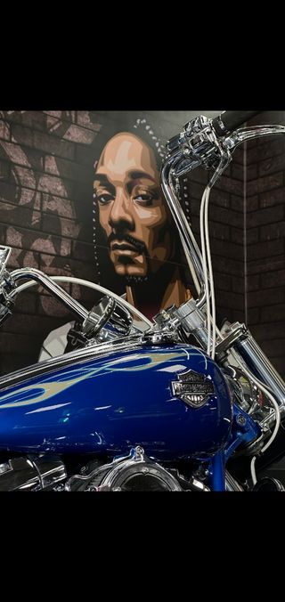 Harley Davidson Rocker