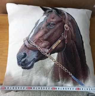 2 cojines 40x40cm + relleno 40x40cm