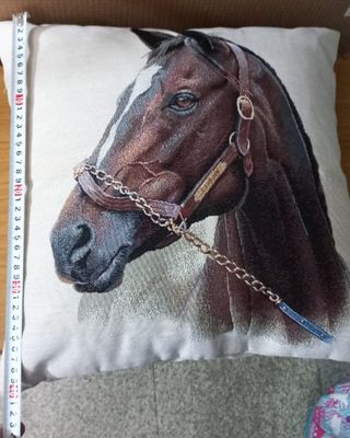 2 cojines 40x40cm + relleno 40x40cm