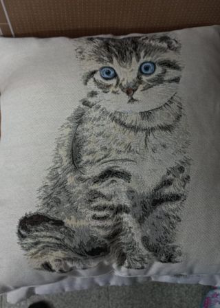 2 cojines 40x40cm + relleno 40x40cm