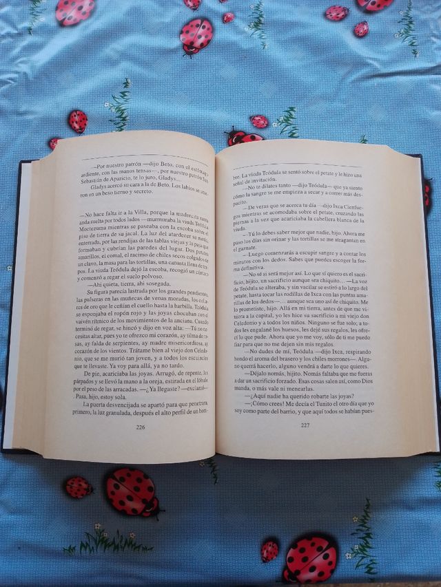 La región más transparente