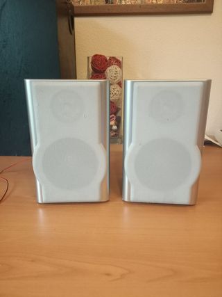 Altavoces de dos clases 30 los Vieta y 20 los peq