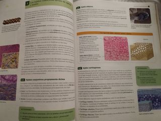 Libro Biología y Geología 1⁰Bachillerato