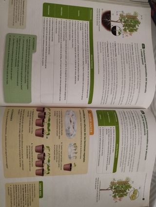 Libro Biología y Geología 1⁰Bachillerato