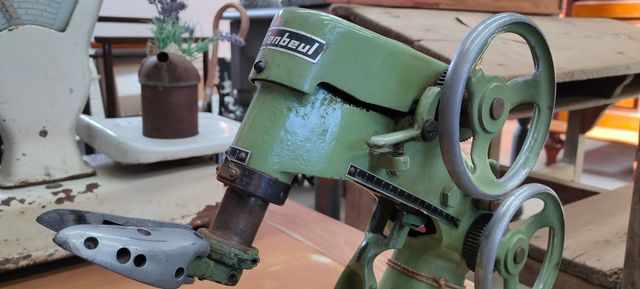 Antigua horma Eupedus