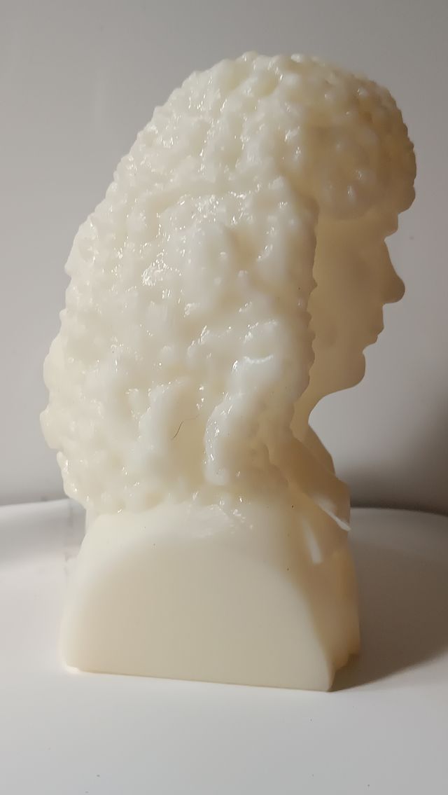 busto de camarón en resina