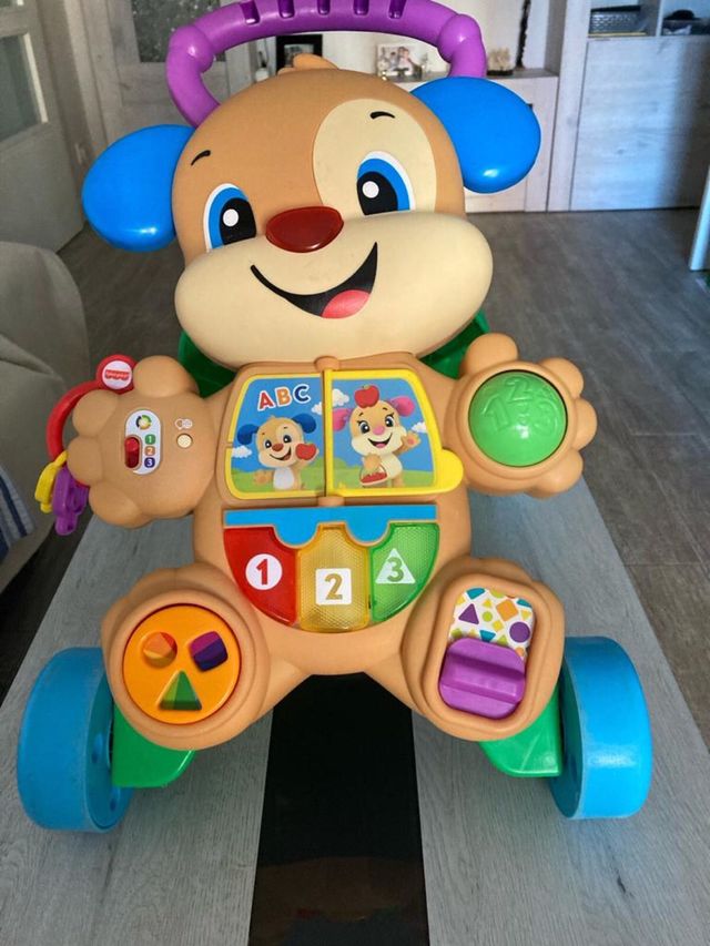 Andador usado 2 veces en la casa del pueblo