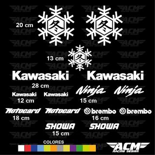 Adhesivos Kawasaki Winter test
