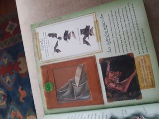 Libro Animales de la Selva