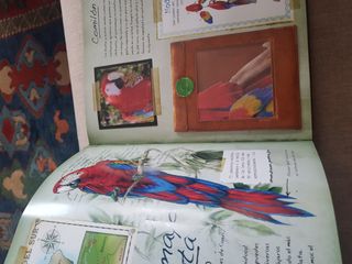 Libro Animales de la Selva