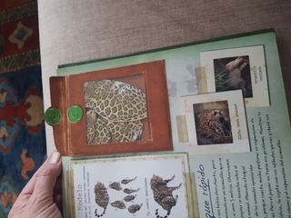 Libro Animales de la Selva