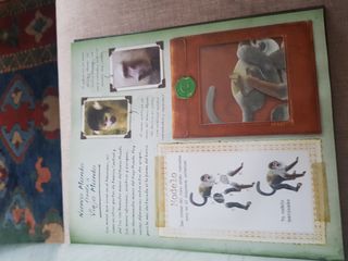 Libro Animales de la Selva