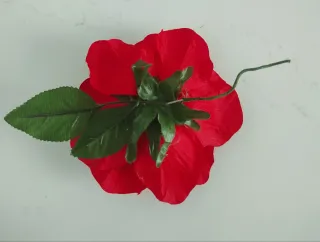 Pendientes flamenca.