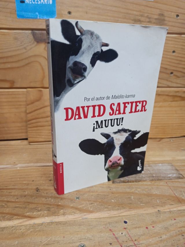 David Safier