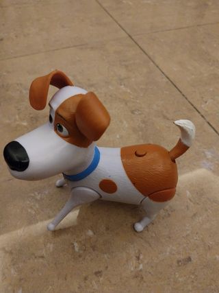 Perro máx de mascotas