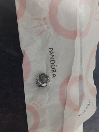 Charm Pandora