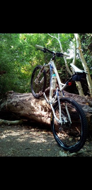 Lapierre  X - Control 410