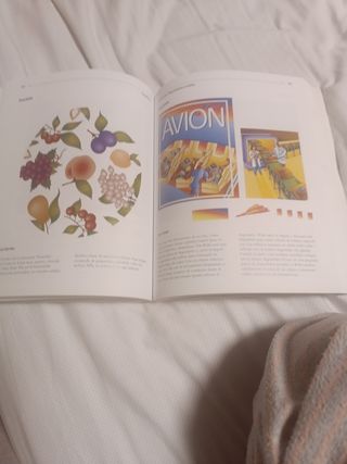 Manual adobe ilustrator avanzado