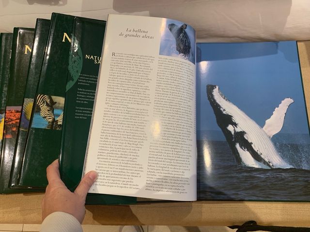 enciclopedia naturaleza