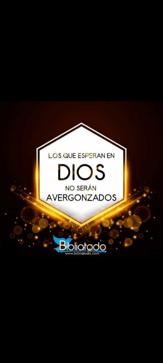 Se acen portes y mudanzas muy ec