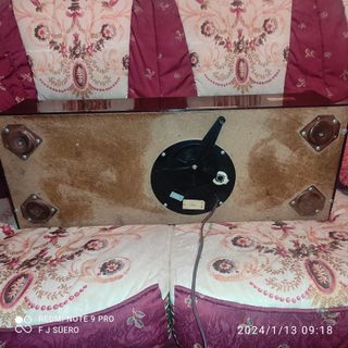 Órgano eléctrico de aire Magnus