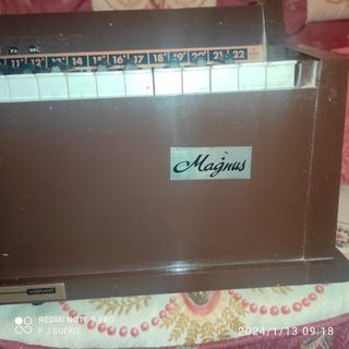 Órgano eléctrico de aire Magnus