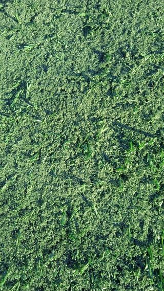 Cambia tu vista con césped artificial