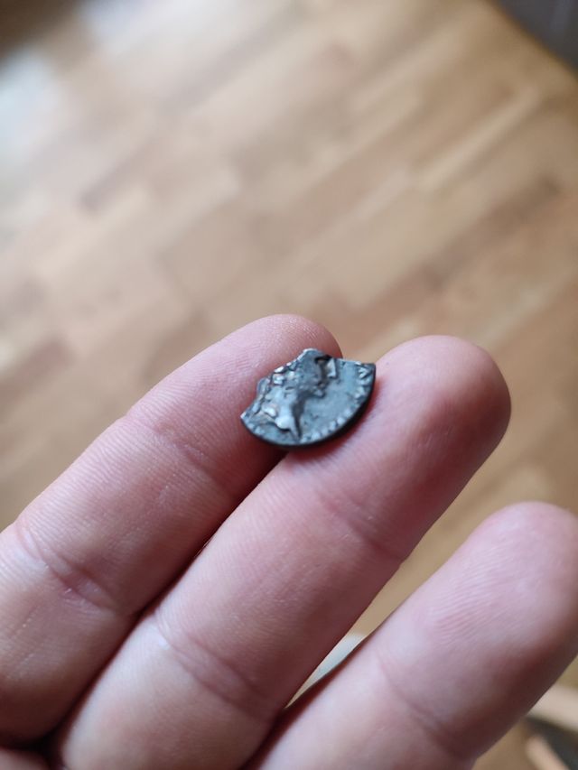 Fracción denario Augusto