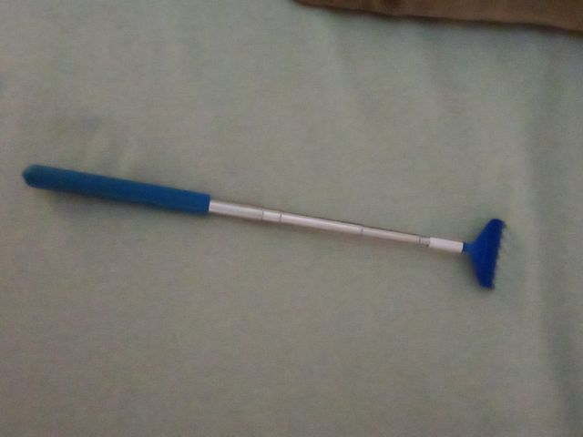 Grattaschiena portatile