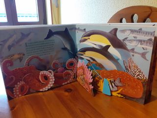 Libro infantil desplegable. Océanos