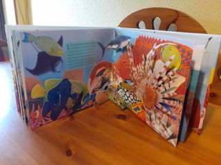 Libro infantil desplegable. Océanos