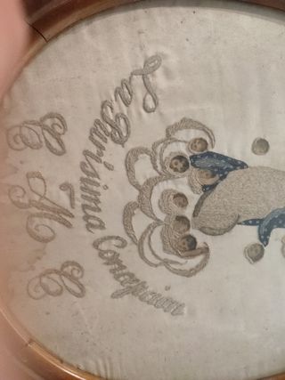 Vergine dell'Immacolata Concezione