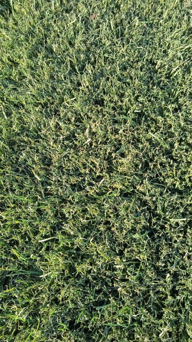 ♻️Césped artificial reciclado ♻️