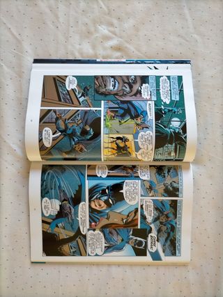 Batman by Neal Adams book 2