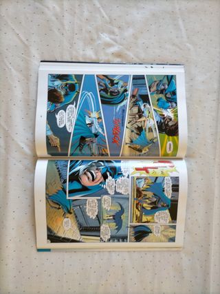 Batman by Neal Adams book 2